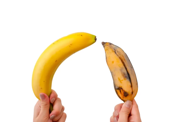 Penis of blood Vs Penis of meat.